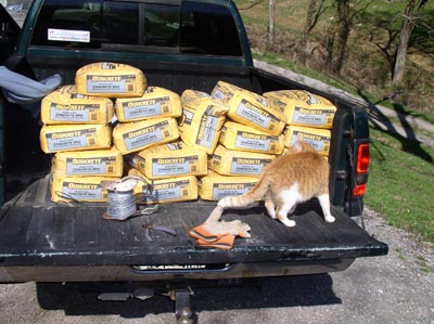 Inspector Hansel counting inventory